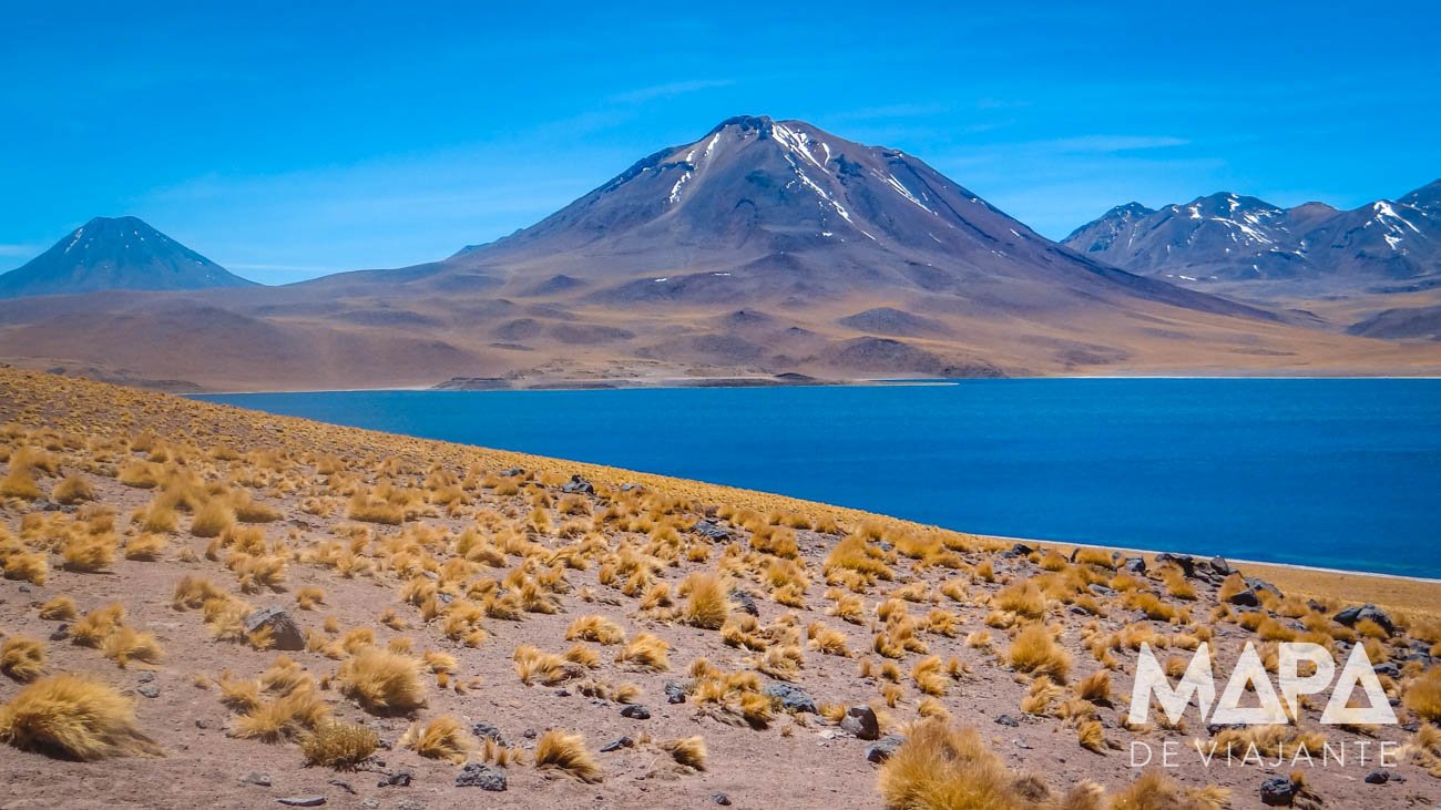 Lagunas Altiplânicas Lagoa Miscanti