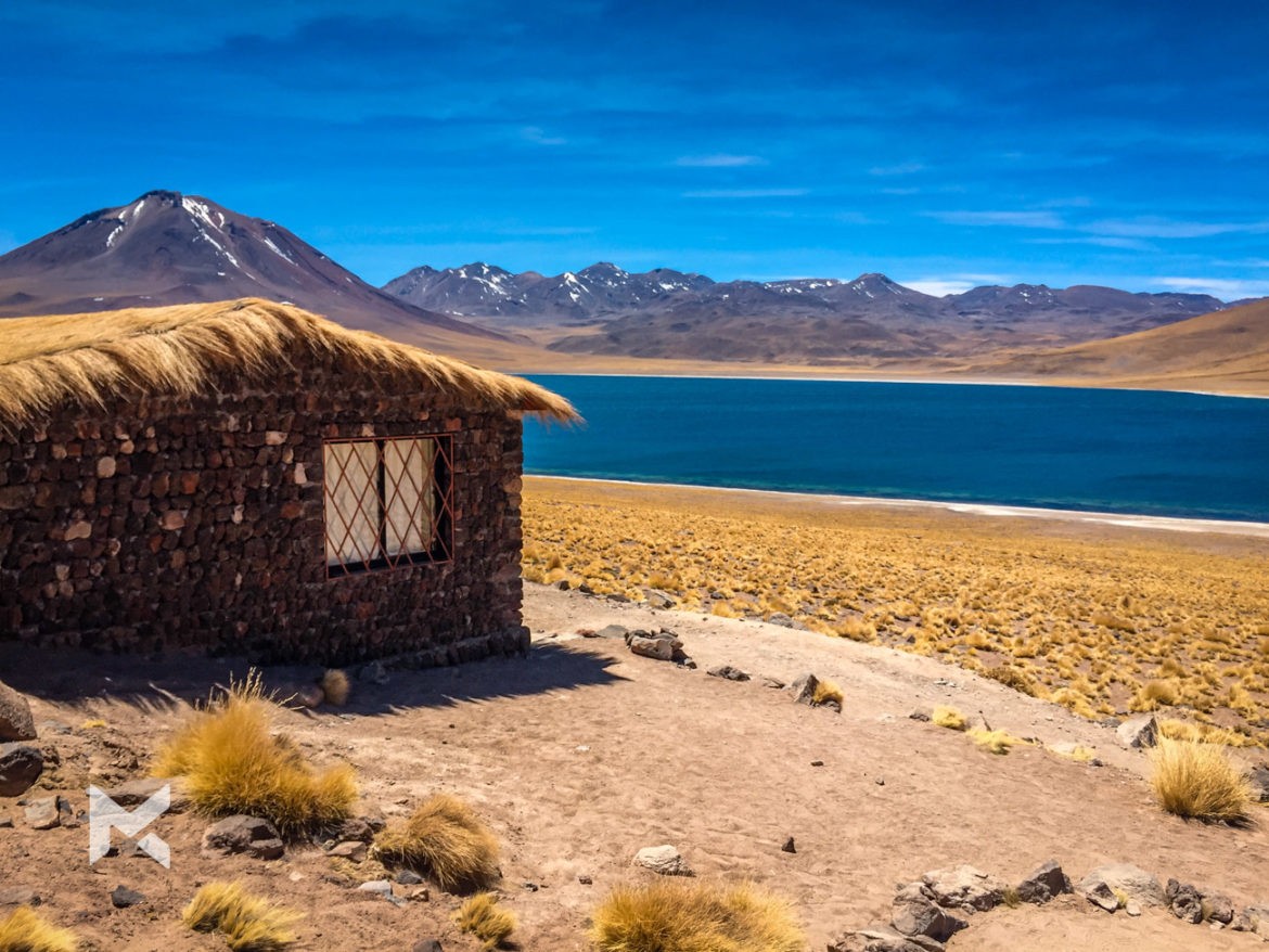 Deserto do Atacama Lagunas Altiplanicas
