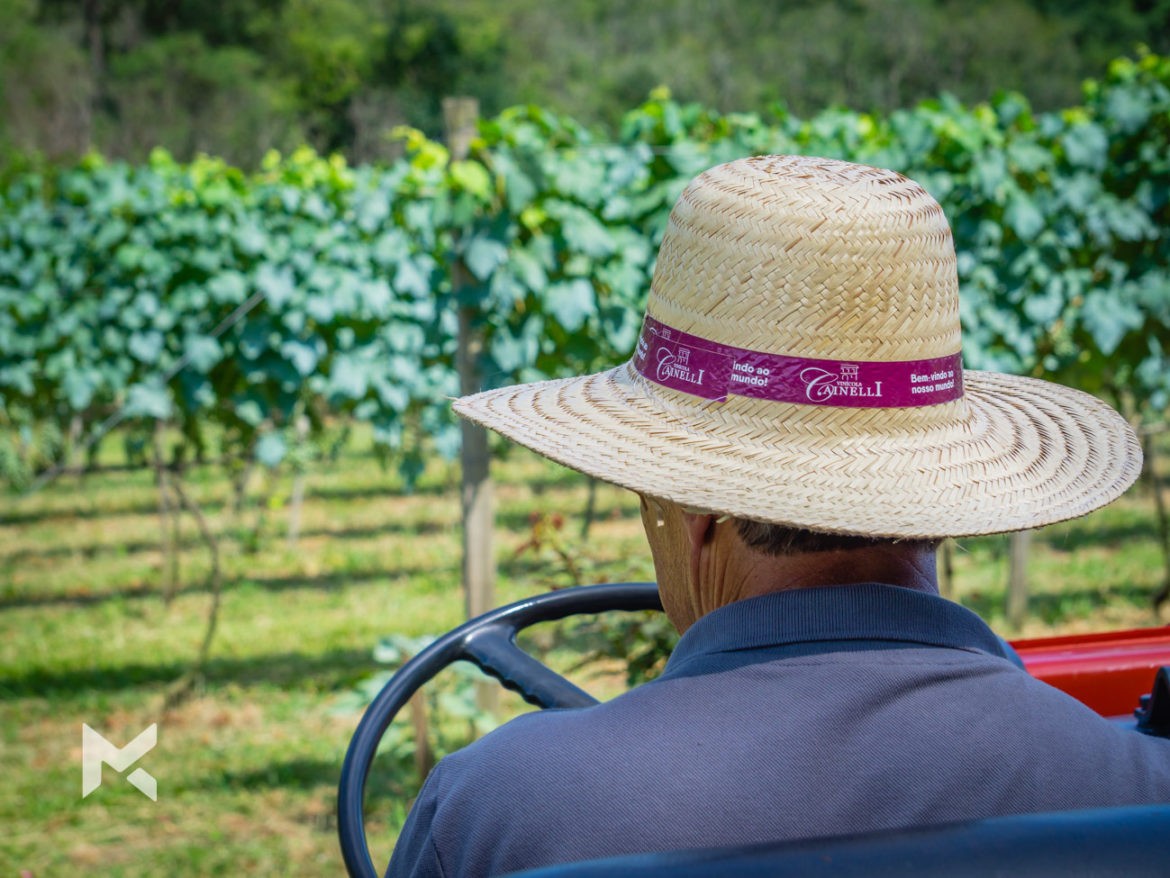 Roteiro Vale dos Vinhedos