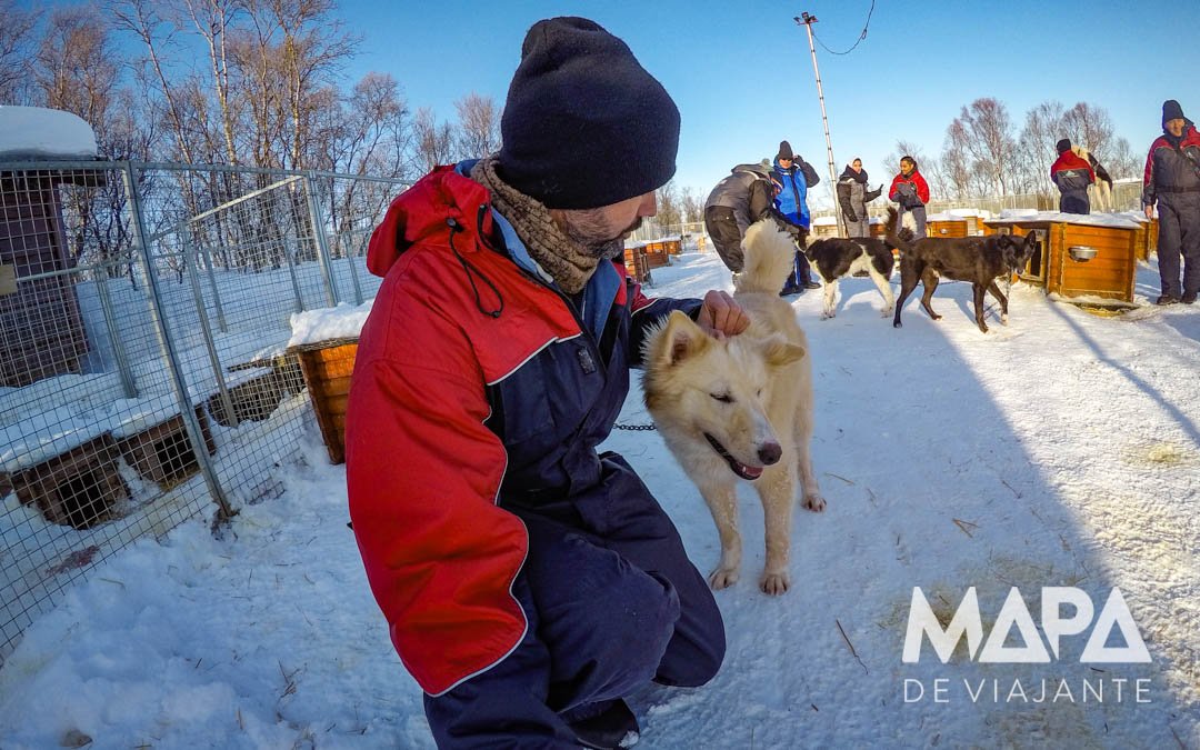 Canil de Huskies em Tromso na Noruega