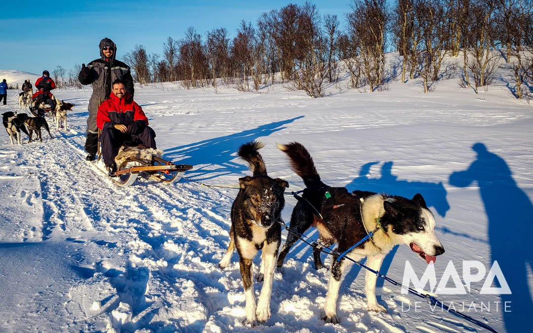 Passeio de Dogsledding Trenó com huskies