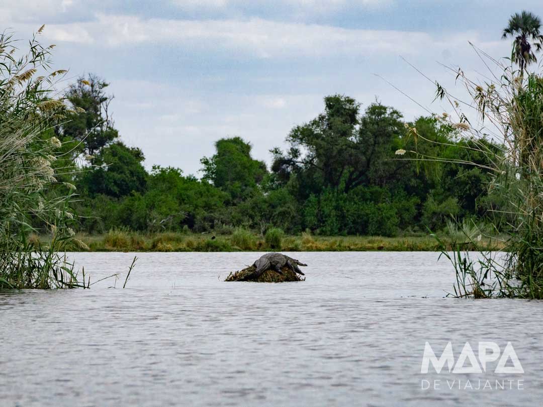 África Botsuana Maun Okavango Delta Big 5 Safari moroko