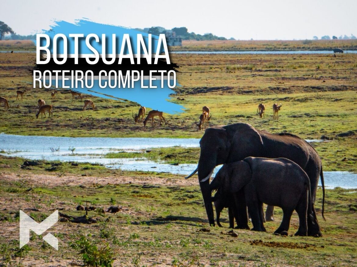 África O que fazer Roteiro Botsuana Chobe Okavango Delta Big 5