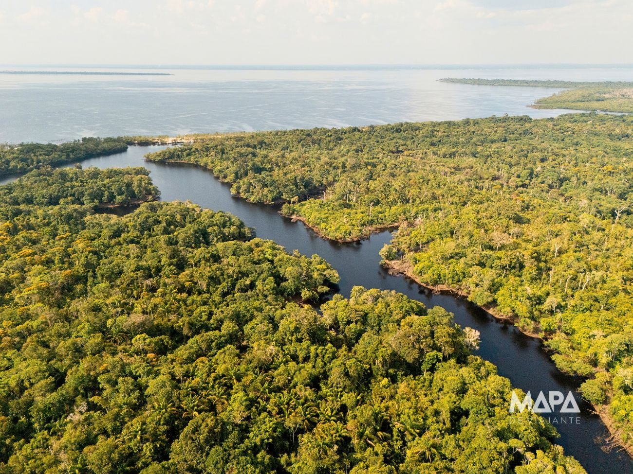 Hotel de Selva Manaus Bioma Ecolodge Rio Amazonas Rio Negro O que fazer Quanto custa Roteiro